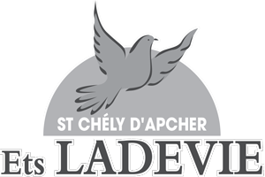 logo -Ambulance saint chely d apcher